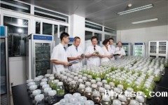 图说新发展    礼赞新时代︱药学院：继往开来        共创一流